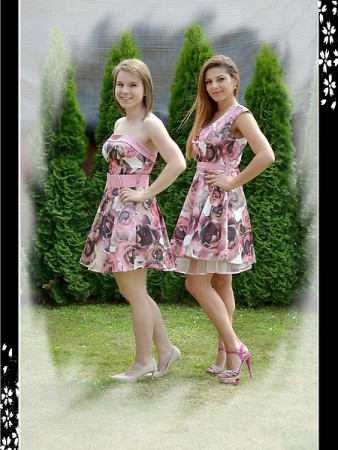 Model KD2